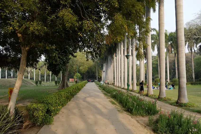 Tree-lined heritage street near Defence Colony / East Nizamuddin, South Delhi